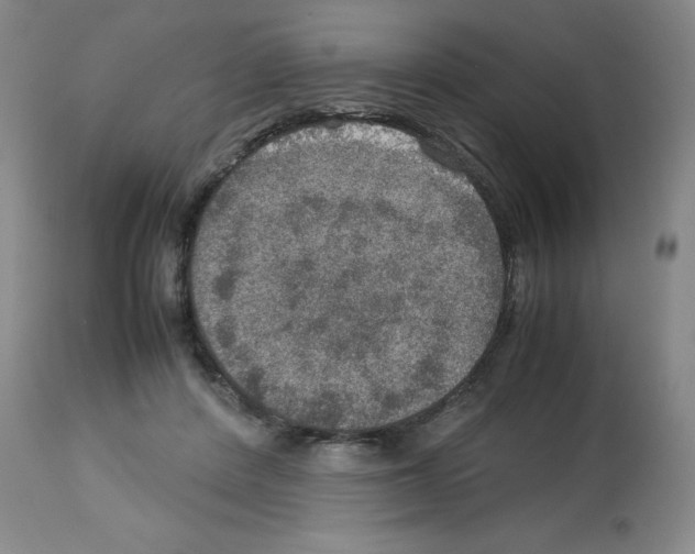 X0000112950408200910051223
