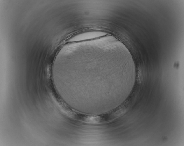 X0000112950410200910051223
