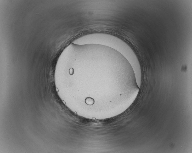 X0000112950411200910051223