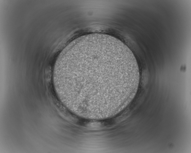 X0000112950413200910051223