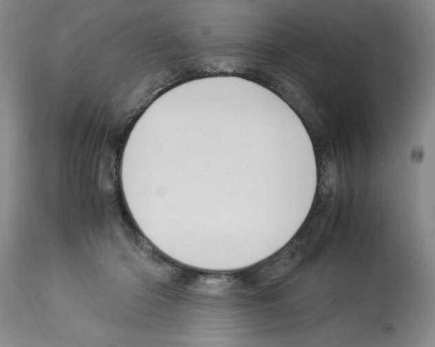 X0000112950414200910051223