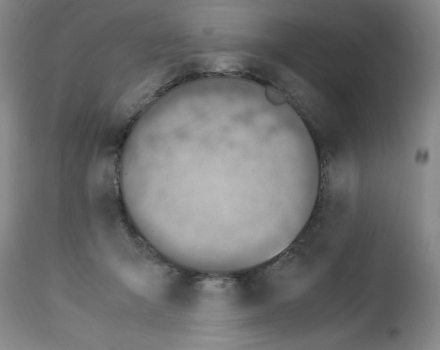 X0000112950415200910051223