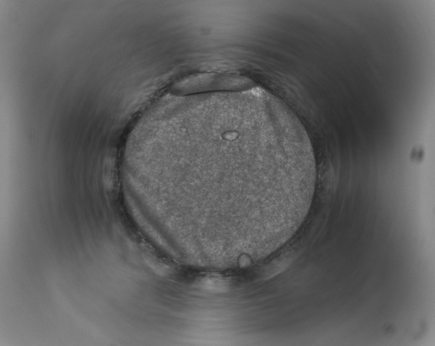 X0000112950416200910051223