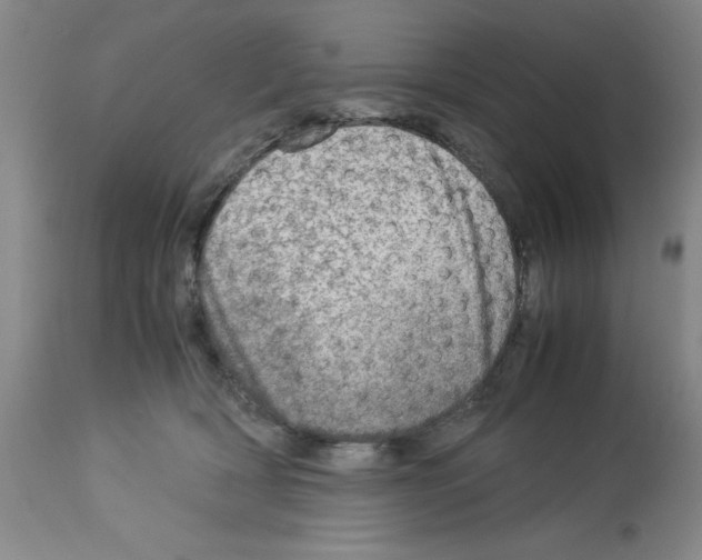 X0000112950418200910051223