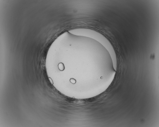 X0000112950419200910051223