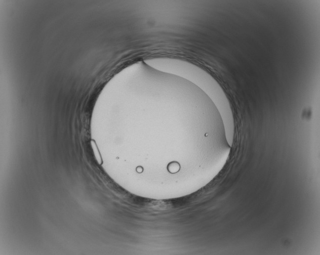 X0000112950421200910051223