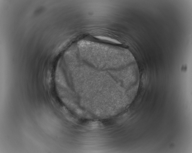 X0000112950424200910051223