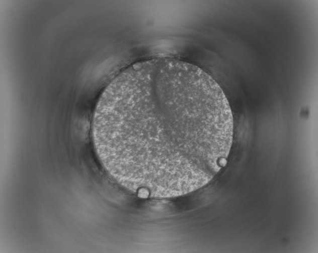 X0000112950427200910051223