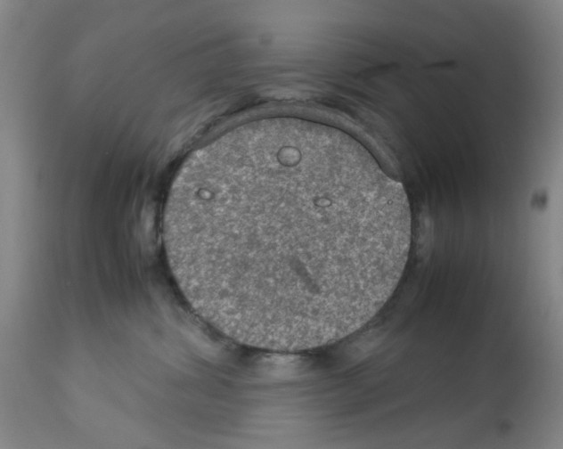 X0000112950428200910051223