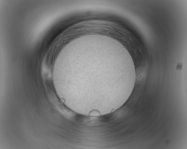X0000112950431200910051223