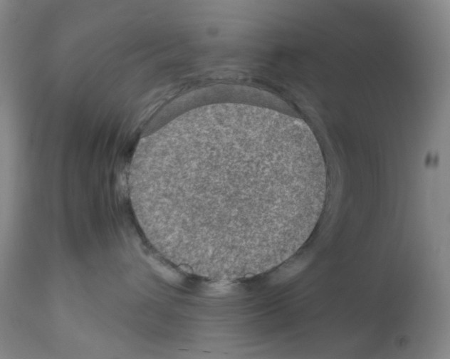 X0000112950432200910051223