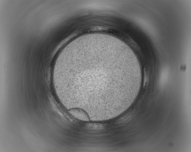 X0000112950435200910051222