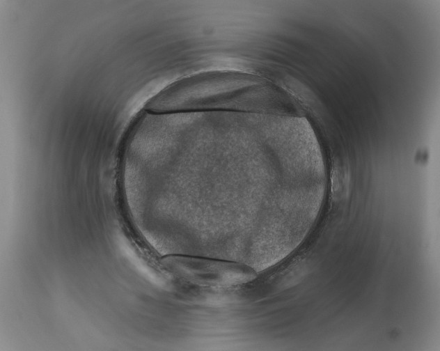 X0000112950436200910051222