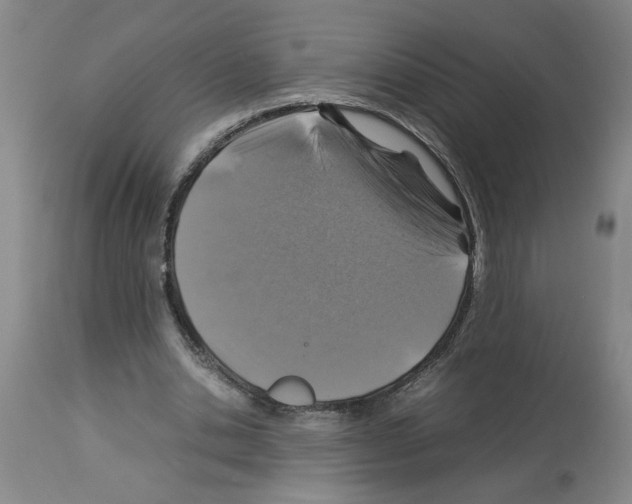 X0000112950438200910051222