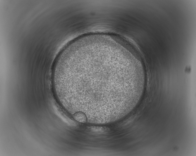 X0000112950439200910051222