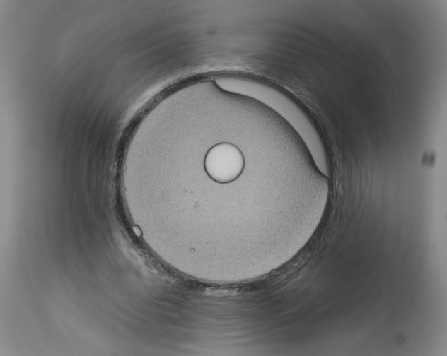 X0000112950440200910051222