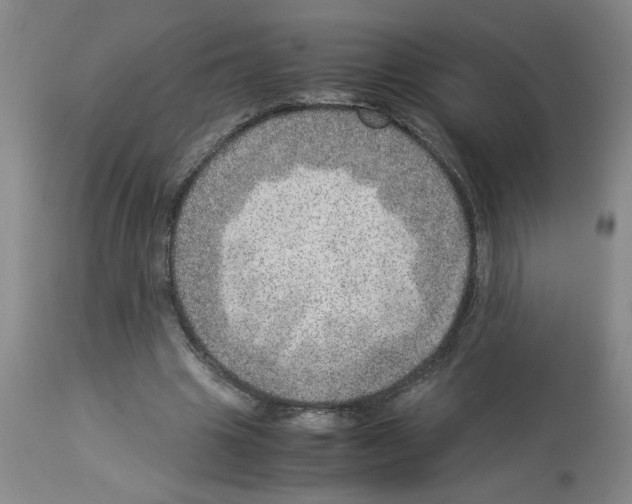X0000112950441200910051222