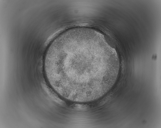 X0000112950442200910051222