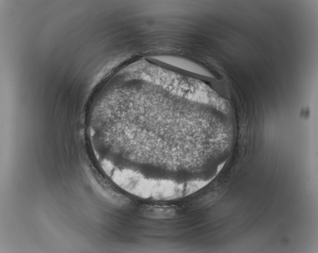 X0000112950443200910051222