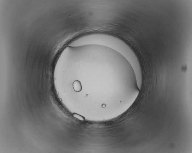 X0000112950444200910051222