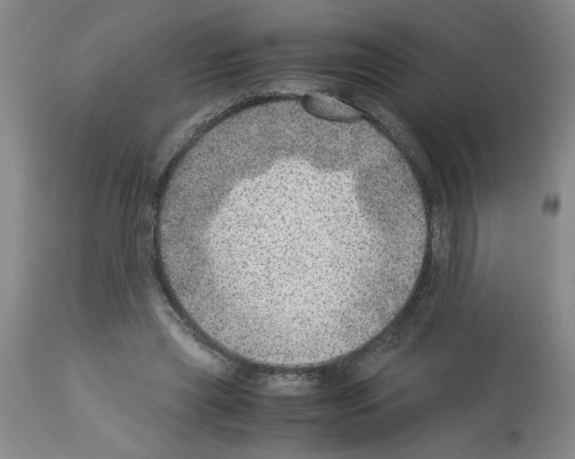 X0000112950445200910051222