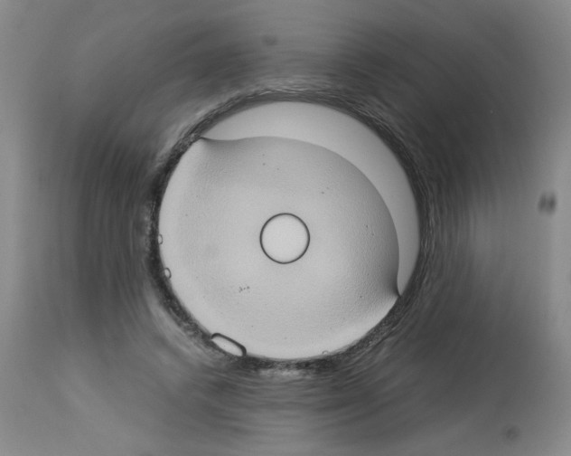 X0000112950448200910051222