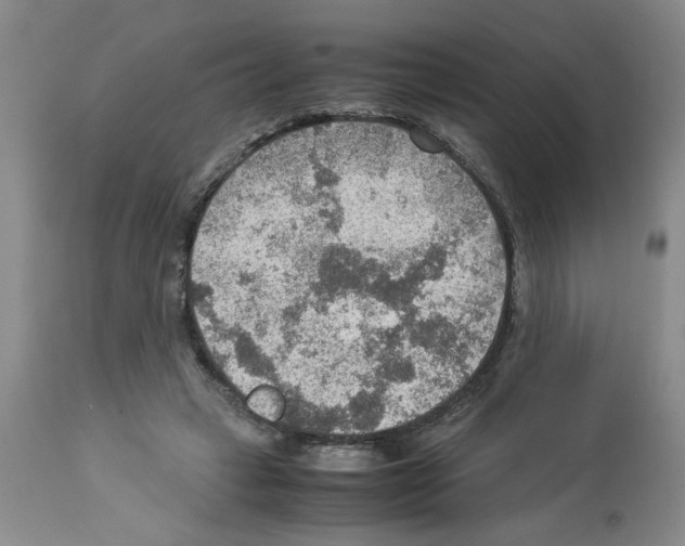 X0000112950449200910051222