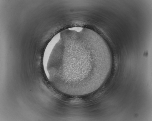 X0000112950451200910051223