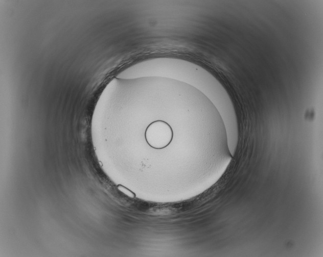X0000112950452200910051223