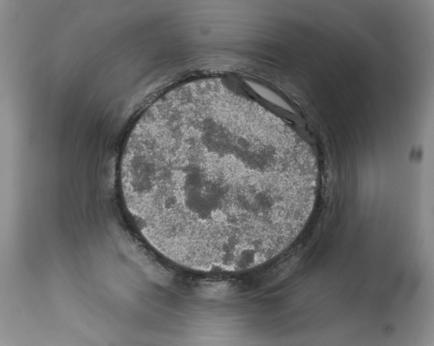 X0000112950454200910051223
