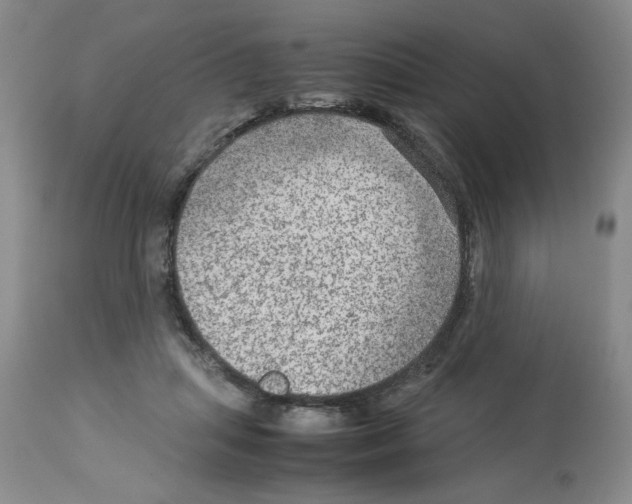 X0000112950455200910051223