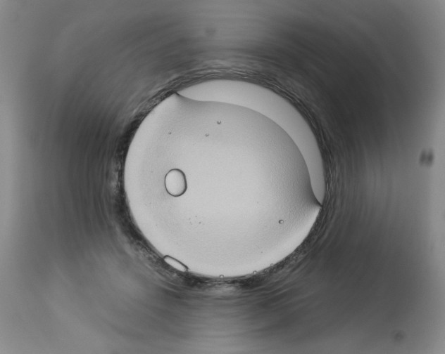 X0000112950456200910051223