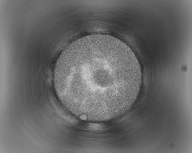 X0000112950457200910051223