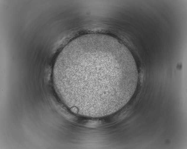 X0000112950458200910051223