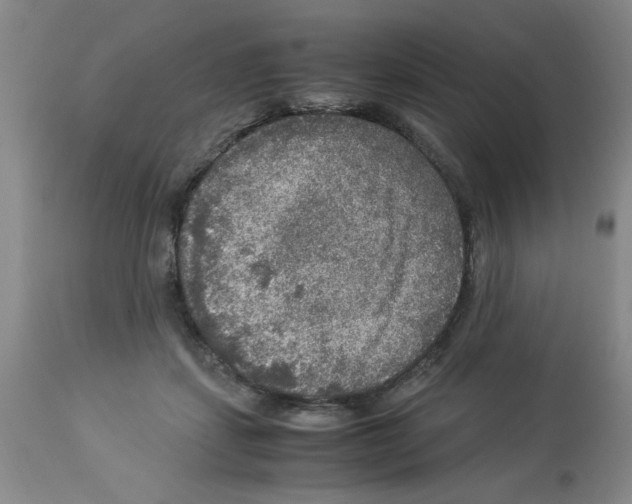 X0000112950459200910051223