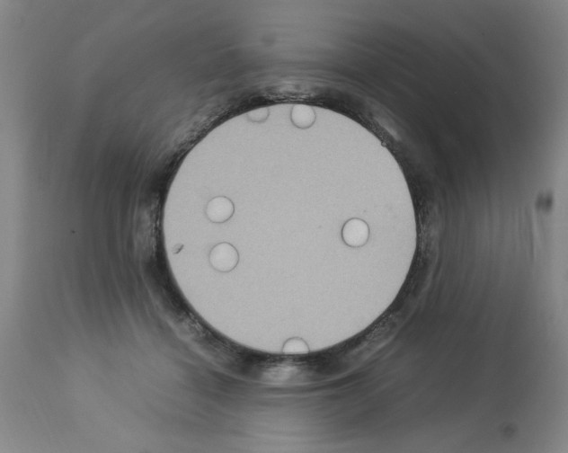 X0000112950460200910051223