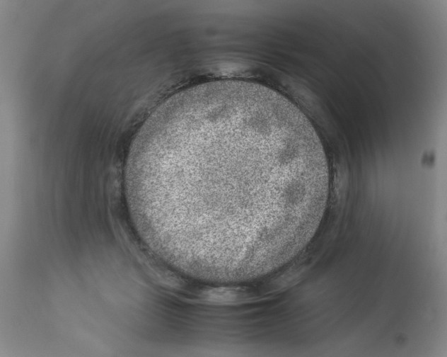 X0000112950461200910051223