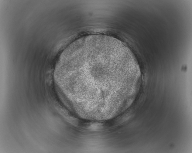 X0000112950462200910051223