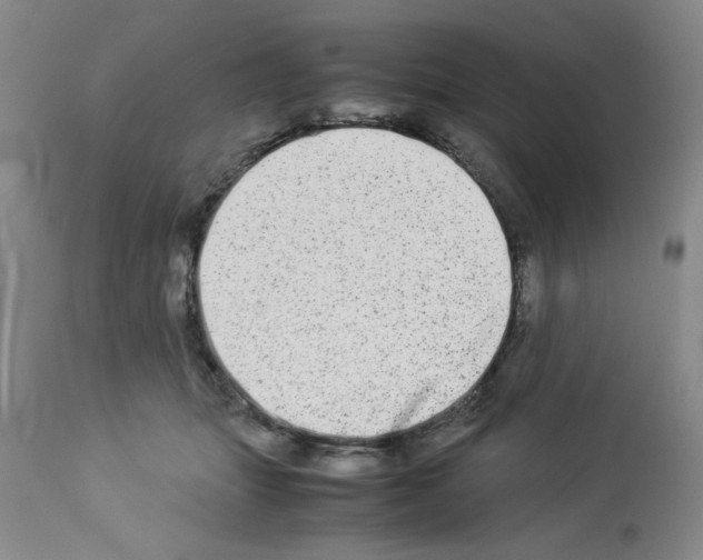 X0000112950463200910051223