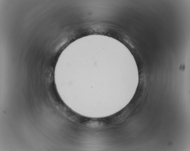 X0000112950464200910051223