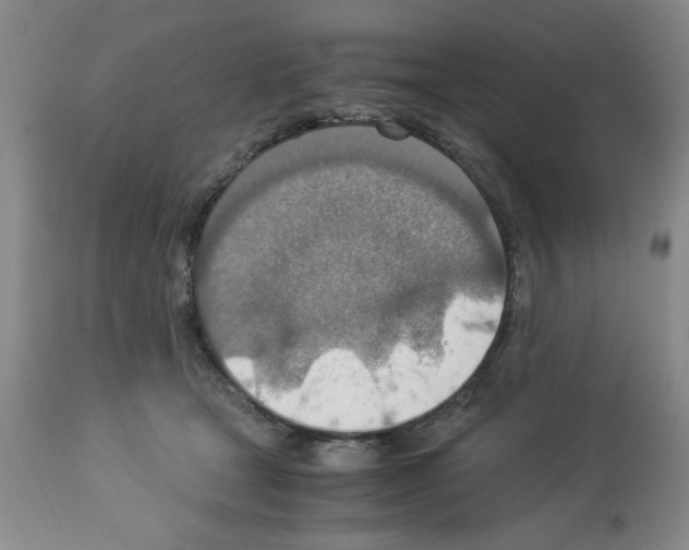 X0000112950465200910051223