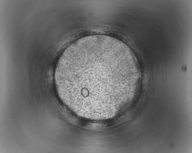 X0000112950466200910051223