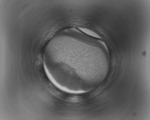 X0000112950467200910051223