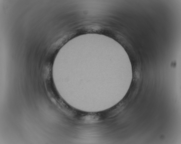 X0000112950468200910051223