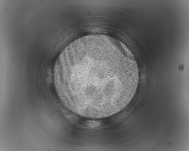 X0000112950469200910051223