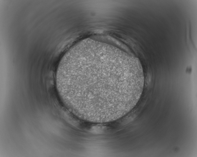 X0000112950470200910051223