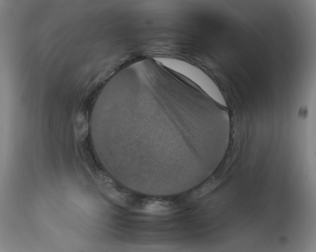 X0000112950471200910051223
