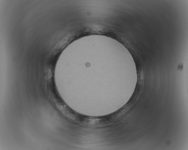 X0000112950472200910051223