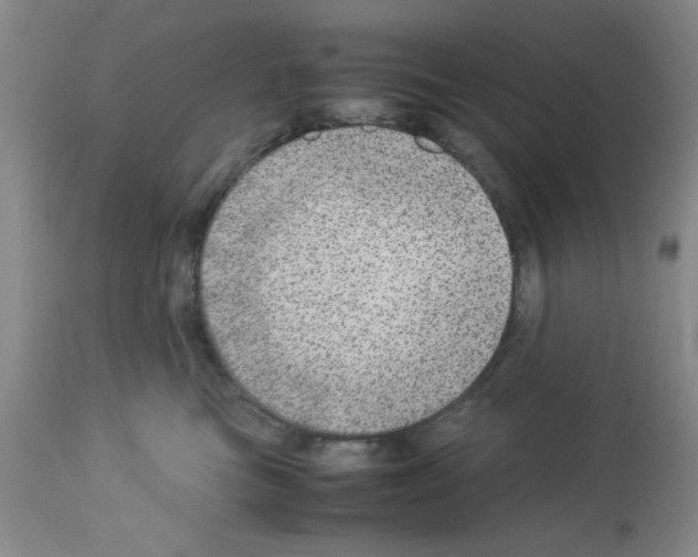 X0000112950473200910051223