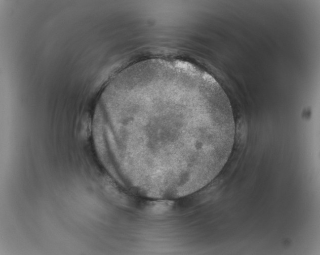 X0000112950474200910051223